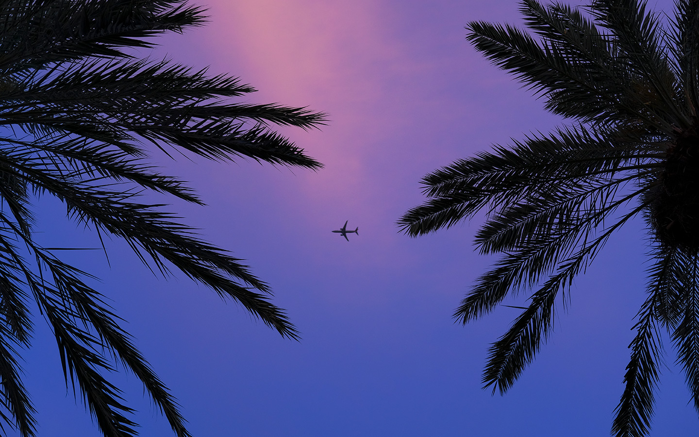 Airplane flying in pink and purple skies between two palm trees