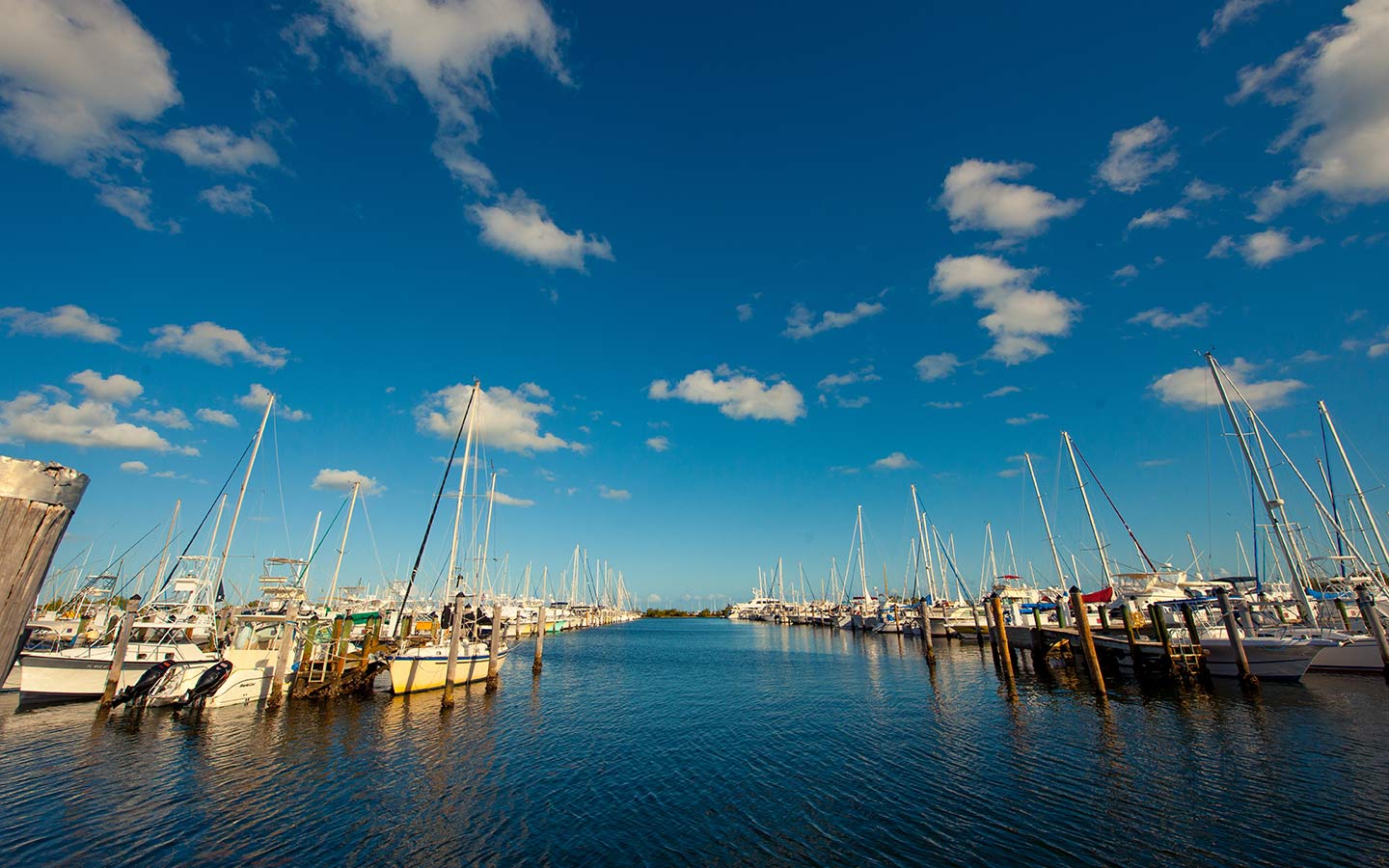 Sailboats at the marina in Coconut Grove